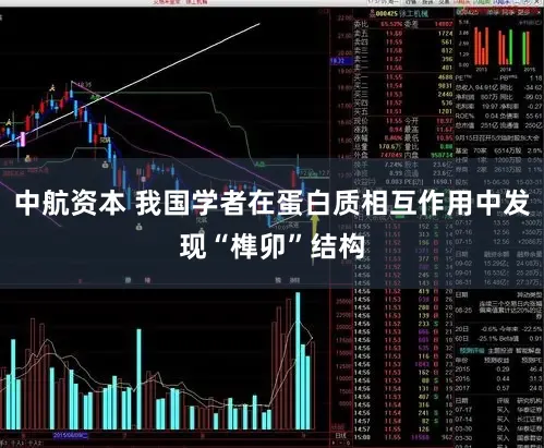 中航资本 我国学者在蛋白质相互作用中发现“榫卯”结构