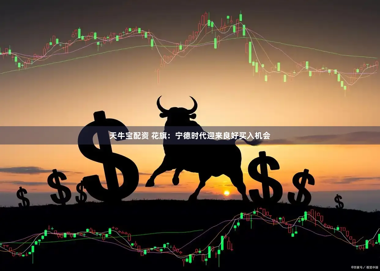 天牛宝配资 花旗：宁德时代迎来良好买入机会