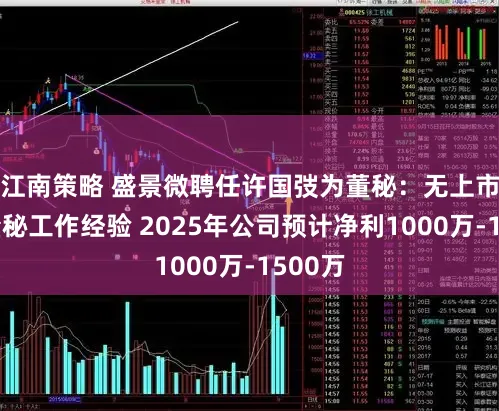 江南策略 盛景微聘任许国弢为董秘：无上市公司董秘工作经验 2025年公司预计净利1000万-1500万