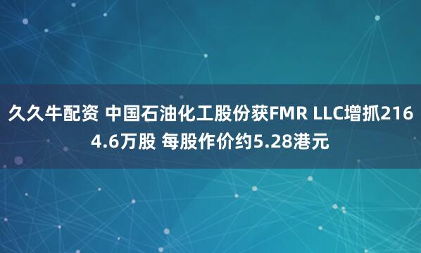久久牛配资 中国石油化工股份获FMR LLC增抓2164.6万股 每股作价约5.28港元