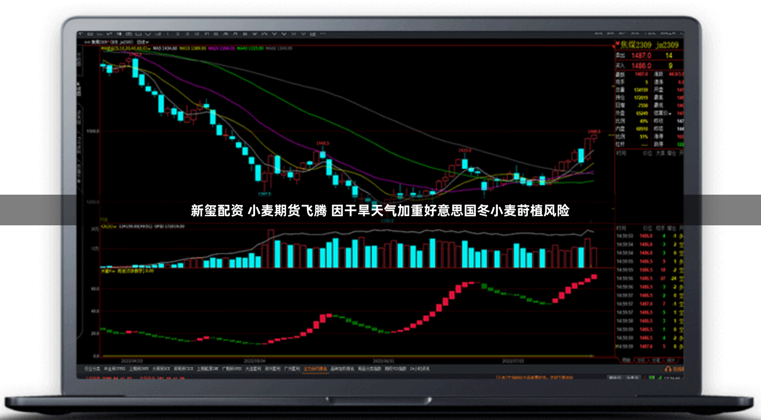 新玺配资 小麦期货飞腾 因干旱天气加重好意思国冬小麦莳植风险