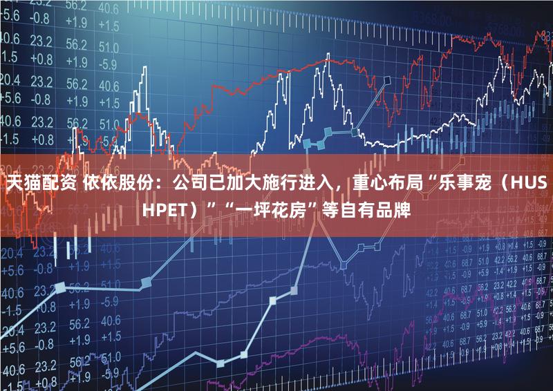 天猫配资 依依股份：公司已加大施行进入，重心布局“乐事宠（HUSHPET）”“一坪花房”等自有品牌