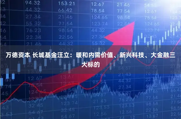 万德资本 长城基金汪立：暖和内需价值、新兴科技、大金融三大标的