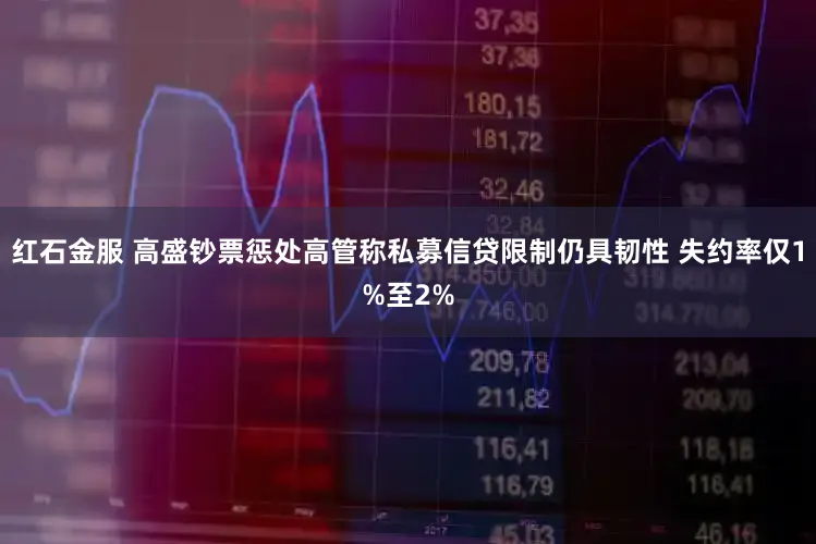 红石金服 高盛钞票惩处高管称私募信贷限制仍具韧性 失约率仅1%至2%