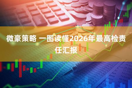 微豪策略 一图读懂2026年最高检责任汇报