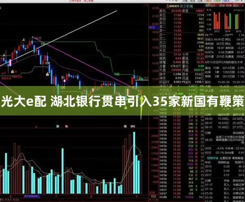 光大e配 湖北银行贯串引入35家新国有鞭策