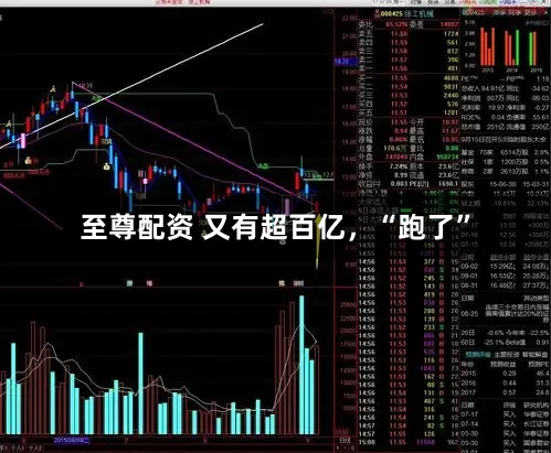 至尊配资 又有超百亿，“跑了”