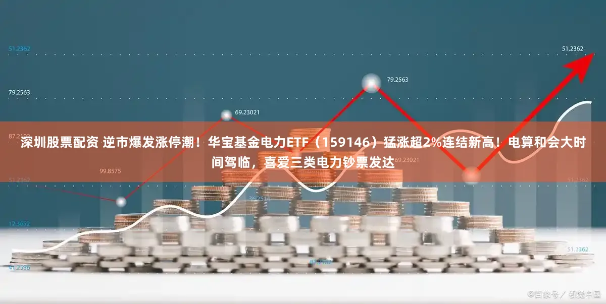 深圳股票配资 逆市爆发涨停潮！华宝基金电力ETF（159146）猛涨超2%连结新高！电算和会大时间驾临，喜爱三类电力钞票发达