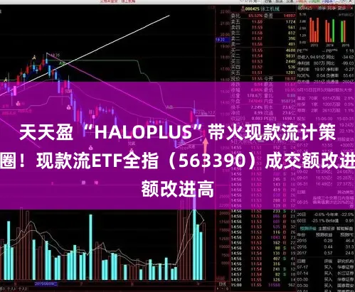 天天盈 “HALOPLUS”带火现款流计策出圈！现款流ETF全指（563390）成交额改进高