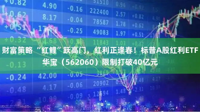 财富策略 “红鲤”跃高门，红利正逢春！标普A股红利ETF华宝（562060）限制打破40亿元