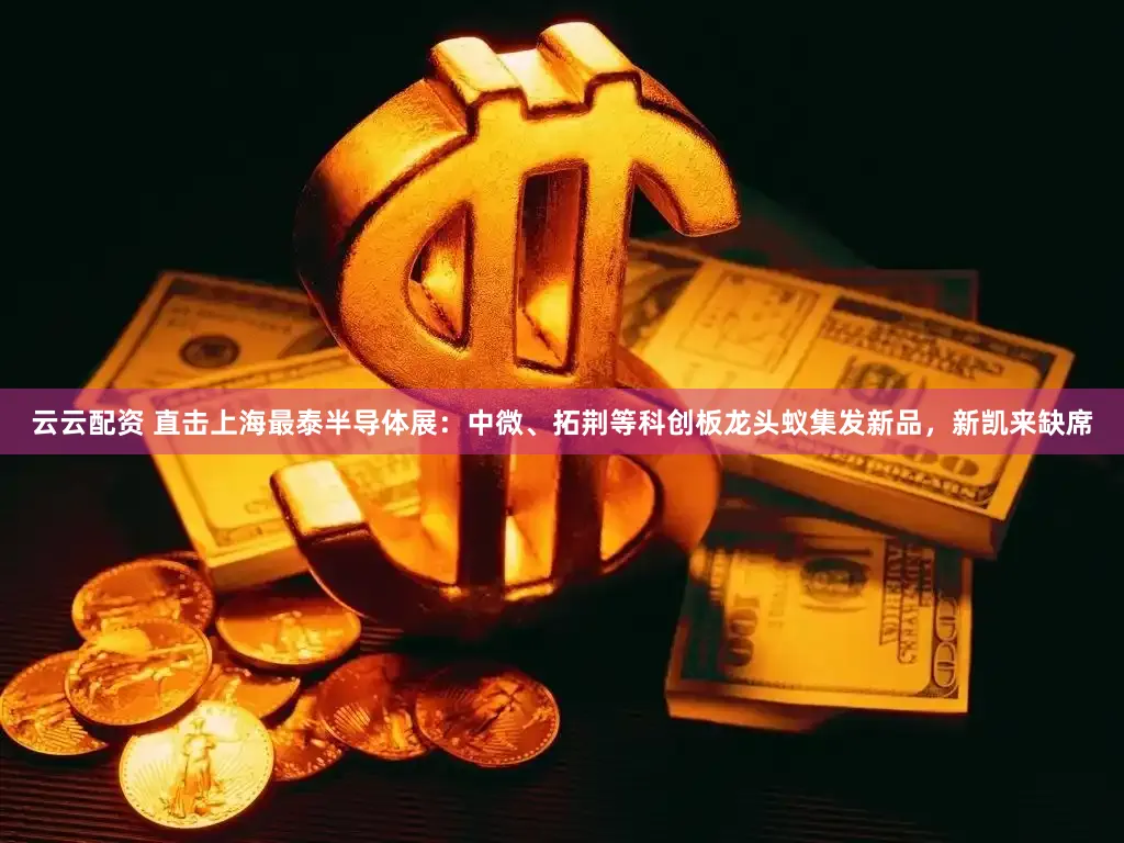 云云配资 直击上海最泰半导体展：中微、拓荆等科创板龙头蚁集发新品，新凯来缺席