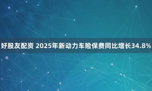 好股友配资 2025年新动力车险保费同比增长34.8%