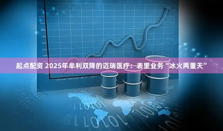 起点配资 2025年牟利双降的迈瑞医疗：表里业务“冰火两重天”