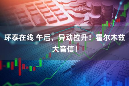 环泰在线 午后，异动拉升！霍尔木兹大音信！