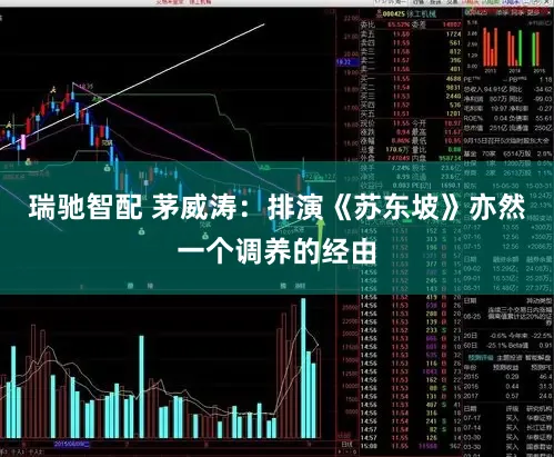瑞驰智配 茅威涛：排演《苏东坡》亦然一个调养的经由